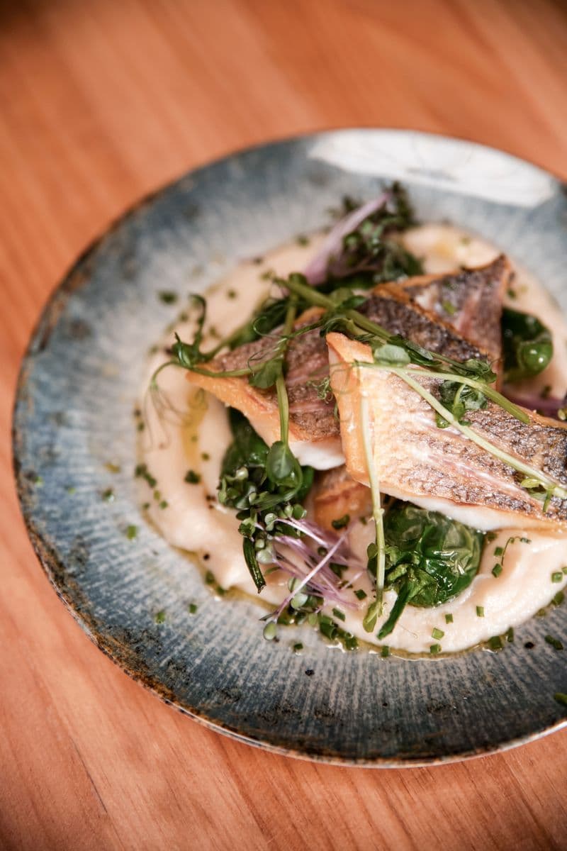 La Nube galéria cover photos