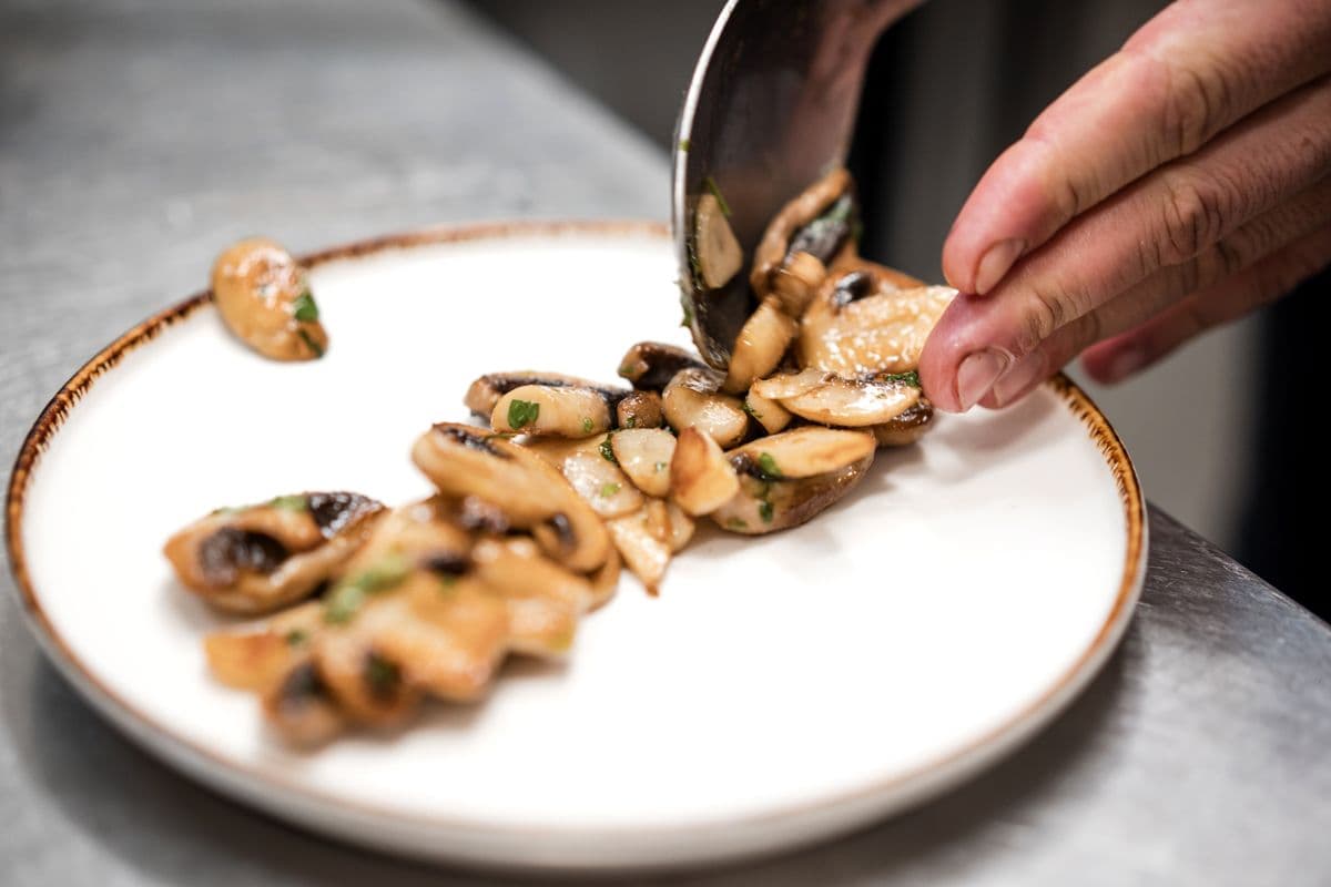 La Nube galéria cover photos